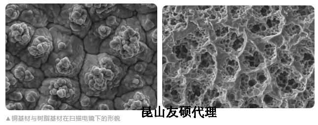 广安蔡司广安扫描电镜