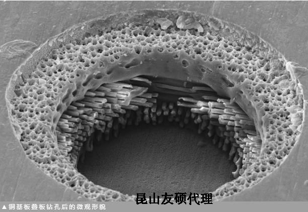 广安蔡司广安扫描电镜